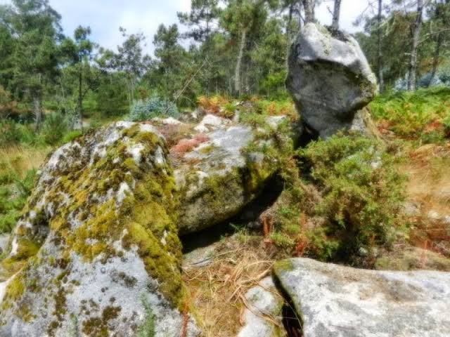 Mámoa de Requeixadas en Priegue