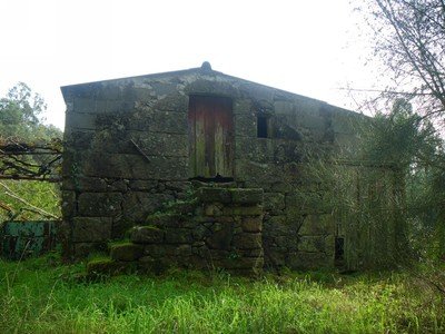 Camino entre Camos y Chandebrito