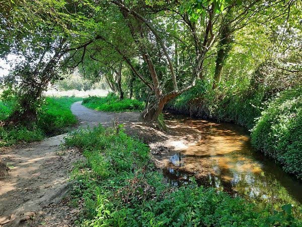 Río Muíños en Nigrán